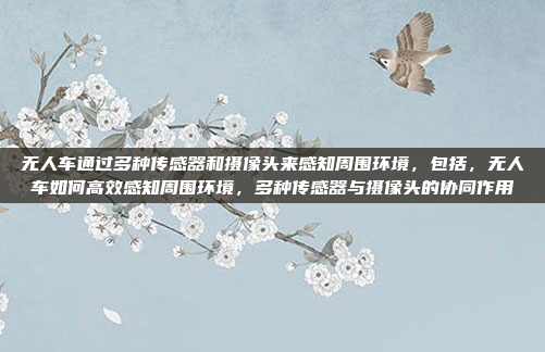 无人车通过多种传感器和摄像头来感知周围环境,包括,无人车如何高效感知周围环境,多种传感器与摄像头的协同作用