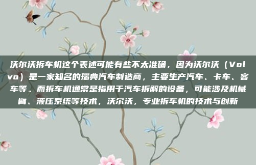 关于放洗衣机的车,可能有以下几种解释和解决方案,放洗衣机的车问题及解决方法解析