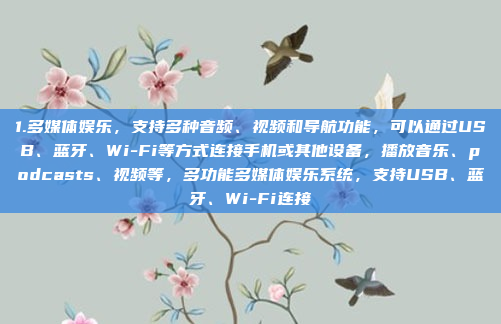 1.多媒体娱乐，支持多种音频、视频和导航功能，可以通过USB、蓝牙、Wi-Fi等方式连接手机或其他设备，播放音乐、podcasts、视频等，多功能多媒体娱乐系统，支持USB、蓝牙、Wi-Fi连接