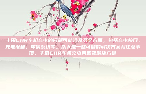 丰田CHR车机充电的问题可能涉及多个方面,包括充电接口、充电设备、车辆系统等。以下是一些可能的解决方案和注意事项,丰田CHR车机充电问题及解决方案