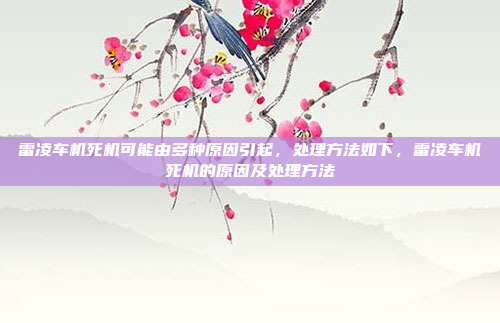 雷凌车机死机可能由多种原因引起,处理方法如下,雷凌车机死机的原因及处理方法