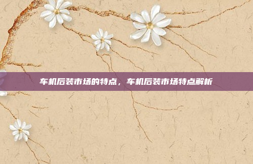 车机后装市场的特点,车机后装市场特点解析