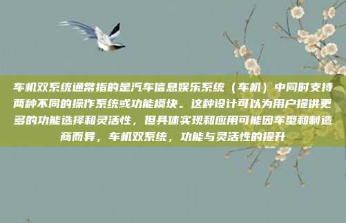 车机双系统通常指的是汽车信息娱乐系统(车机)中同时支持两种不同的操作系统或功能模块。这种设计可以为用户提供更多的功能选择和灵活性,但具体实现和应用可能因车型和制造商而异,车机双系统,功能与灵活性的提升